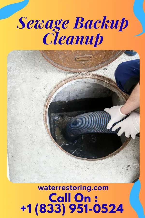 Sewage Backup Cleanup in Hanover, IL