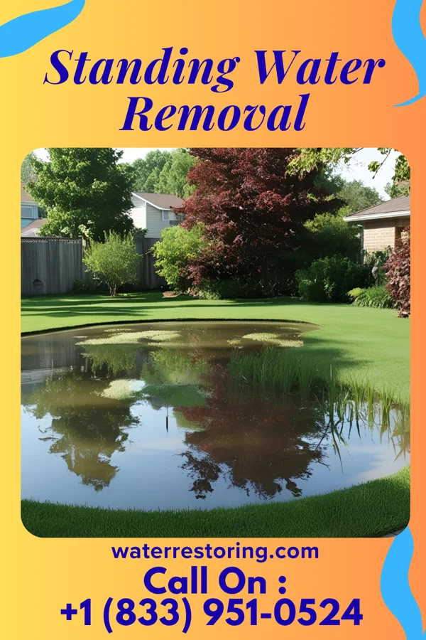 Standing Water Removal in Hanover, IL